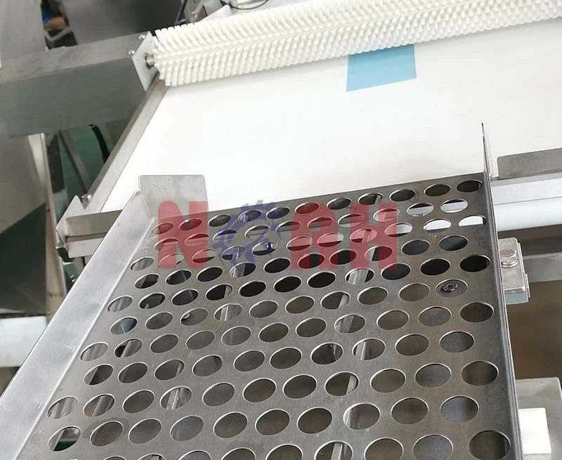 NTF-600 Automatic Tablet Tube Filling And Capping Machine